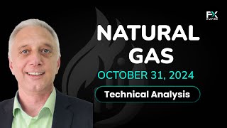 Natural Gas Price Forecast Today, Technical Analysis (October 31): Natural Gas Pulls Back