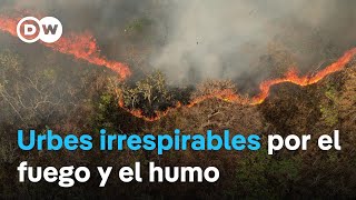 Cada vez hay más incendios en Brasil, y muchos de ellos son intencionados