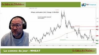 WHEAT BLÉ : Reprise haussière