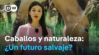 Cómo surge un oasis natural en España | Pequeños proyectos, grandes cambios