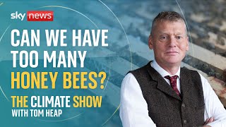 HONEY The Climate Show with Tom Heap: Why honey bees don’t need saving