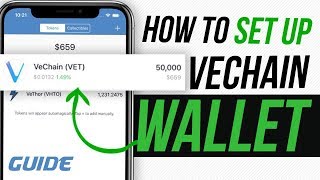 VECHAIN VeChain Ledger Nano S Wallet Guide