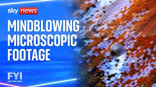 FYI RESOURCES LIMITED FYI: Mindblowing microscopic footage