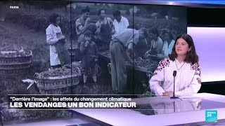 Les raisins de la colère : face au réchauffement climatique, quel est l&#39;avenir de la viniculture ?