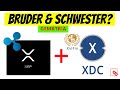 Ripple XRP & XinFin XDC GEMATRIA Verbindung | Dogecoin auf Coinbase Pro | GREEN SWAN Conference 2021