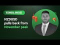Technical Analysis: 08/11/2023 - NZDUSD pulls back from November peak