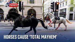 Household Cavalry horses cause &#39;total mayhem&#39; after bolting through central London