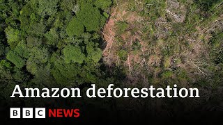 AMAZON.COM INC. One fifth of the Amazon rainforest lost to deforestation | BBC News