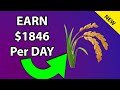 BEST Yield Farming of 2024: Make $1846 Per Day