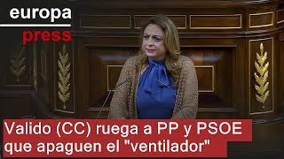 Valido (CC) ruega a PP y PSOE que apaguen el &quot;ventilador&quot;