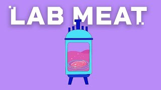 EU DECODED: La carne coltivata in laboratorio arriverà presto nei supermercati?