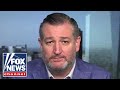 Ted Cruz: The Democratic Party has turned 'horrid anti-Israel'