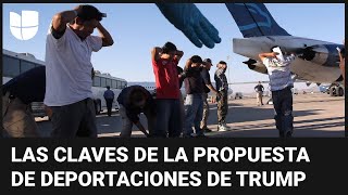 Trump promete un plan de deportaciones masivas: ¿podrá cumplir esa propuesta? Te explicamos