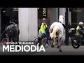 Los caballos militares que cabalgaron por calles de Londres suelen participar en ceremonias reales