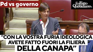 Serracchiani vs governo: &quot;Con la vostra furia ideologica avete fatto fuori la filiera della canapa&quot;