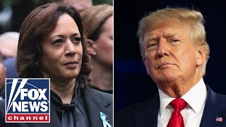 If Kamala Harris is at the ‘top of the ticket,’ our gameplan is the same: GOP rep