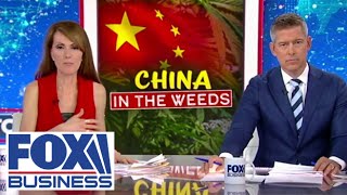 Dagen McDowell: Is China making &#39;deadly marijuana&#39;?