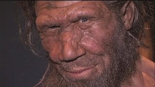 SAPIENS INTERNATIONAL Familientreffen mit Neandertaler und Homo sapiens - le mag