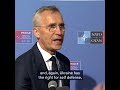 NATO chief Jens Stoltenberg downplays threat of escalation from Moscow | DW News