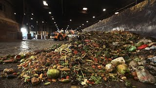 19% de la nourriture mondiale sont gaspillés