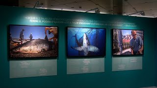 La muestra &#39;Sharks de Brian Skerry&#39; crea conciencia sobre la situación de los tiburones