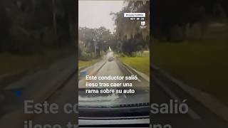 S&U PLC [CBOE] Huracán Milton: este conductor salió ileso tras caer una rama sobre su auto