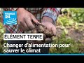 La Banque Mondiale appelle à une révolution agricole pour sauver le climat • FRANCE 24