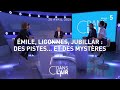 Émile, Ligonnès, Jubillar : des pistes...et des mystères - #cdanslair du 20.04.2024