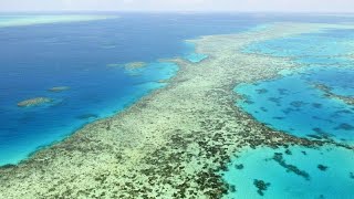 REEF Naturschützer geschockt: Great Barrier Reef kein &quot;bedrohtes&quot; Welterbe