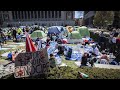 Studierende zeigen Solidarität: Proteste an US-Hochschulen weiten sich aus