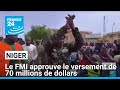Le FMI approuve le versement de 70 millions de dollars au Niger • FRANCE 24