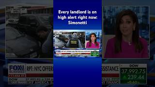 NYC reportedly offering squatters free legal assistance #shorts