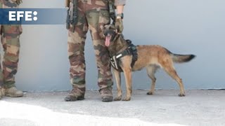 El mayor campamento militar levantado en Francia desde la II GM, para custodiar los JJ.OO.