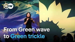 NEAR What’s gone wrong for Europe’s Greens as European elections near? | DW News