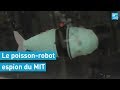 ROBOT, S.A. - SoFi, le poisson-robot du MIT conçu pour espionner la faune marine
