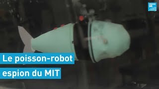 ROBOT, S.A. SoFi, le poisson-robot du MIT conçu pour espionner la faune marine