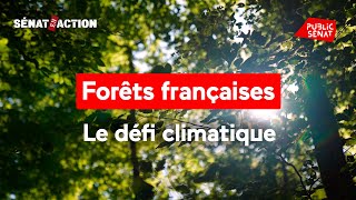 DEFI Forêts françaises, le défi climatique