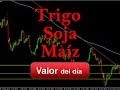 Trading del Trigo, Soja y Maíz por Terry Gallo en Estrategias Tv (26.11.13)