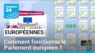 Élections européennes : comment fonctionne le Parlement européen ? • FRANCE 24