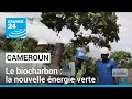 Énergie verte au Cameroun : production de biocharbon • FRANCE 24