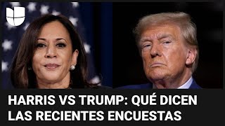 Harris vs Trump: ¿quién lidera la intención de voto en estados péndulos? Esto dicen las encuestas