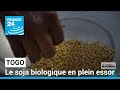 SOYBEAN - Togo : le soja biologique en plein essor • FRANCE 24
