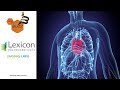 “The Buzz” Show: Lexicon Pharmaceuticals (NASDAQ: LXRX) Rises Amid Positive Phase 3 Results