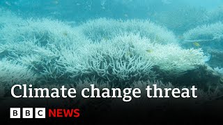 REEF Climate change: 400-year record heat threat to Great Barrier Reef | BBC News