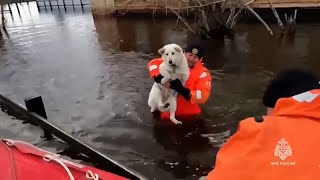 Russia: inondazioni in Jacuzia, dichiarato stato di emergenza