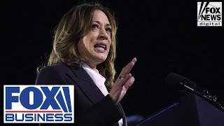 &#39;RED FLAG&#39;: Expert sheds light on the &#39;elephant in the room&#39; Harris has been quiet on