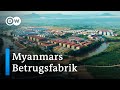 Betrugs-Fabriken in Myanmar: Abzocken im Akkord | Shift