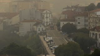 Portugal : scènes de dévastation après l&#39;arrêt de l&#39;incendie à Albergaria-a-Velha