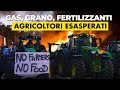 La Protesta degli Agricoltori tra Crollo dei Prezzi e Green Deal