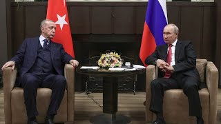 WHEAT Putin y Erdogan se verán en Sochi para tratar de reanudar el acuerdo del grano ucraniano